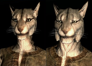 Khajit